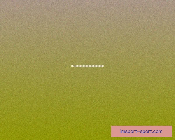 IM体育平台使用安全性全面分析与风险防范指南